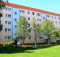 Familienwohnung in Waldrandnähe - Thale