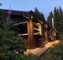 Luxus: Holz-Ferienhaus Bergwild in Winterberg