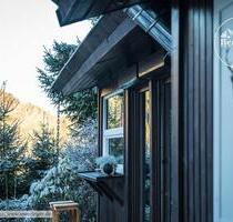 Luxus: Holz-Ferienhaus Bergwild in Winterberg