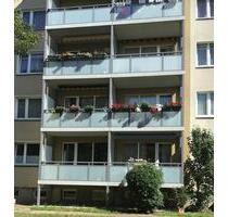 Mitten drin statt nur dabei: hübsche 2-Zimmer-Wohnung - Dresden Blasewitz
