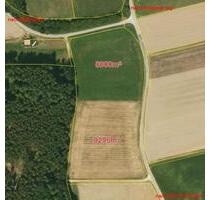 Landwirtschaftliche Fläche 1,8195 ha Ackerland - Roggenburg