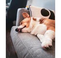 Ohne Eigenkapital möglich. Mietkaufimmobilie abzugeben. - Kirchlengern