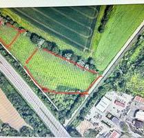 Grünland Heuwiese Landwirtschaftliche Fläche - Duisburg Rheinhausen