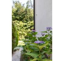 Zu Vermieten:Wunderschönes Einfamilienhaus mit großem Garten - Friedrichsdorf