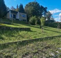 Kleingarten in idyllischer Waldlage bei Zeitz