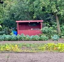 Schrebergarten Kleingarten in Westerrönfeld abzugeben . - Rendsburg