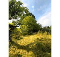 Verwunschener Schrebergarten - 650,00 EUR Kaltmiete, ca.  0,00 m² in Kiel (PLZ: 24143) Gaarden-Ost