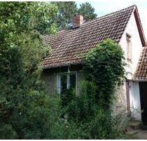 --.-' Traumhaus in Traumlage! - Werder (Havel)