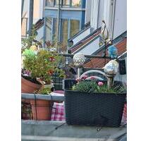 Wohnung zu vermieten Worms Gutleutstr 6 hdy 0177 7464375