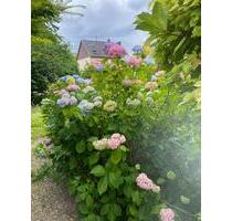 Frisch renovierte 3,5 -Zimmerwohnung in Bübingen zu vermieten - Saarbrücken