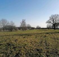 Ausgleichsfläche Grünland Streuobst Camping in Marklohe Nienburg - Damme
