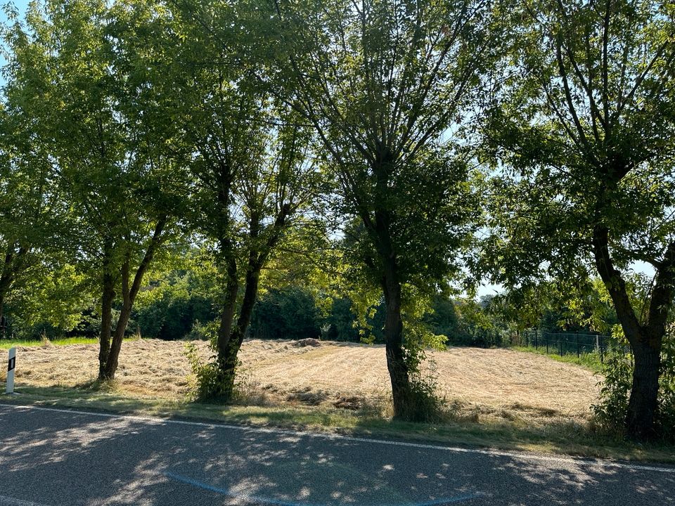 Grünfläche Grundstück 810 m² als Freizeit- oder Nutztierfläche - Landsberg