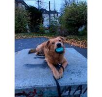 Wohnung 2 Raum - 580,00&nbsp;EUR Kaltmiete, ca.&nbsp; 45,00&nbsp;m&sup2; in Essen (PLZ: 45144) Stadtbezirk III