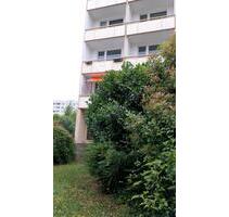 1 Zimmerwohnung ab August zu vermieten - Magdeburg Hopfengarten