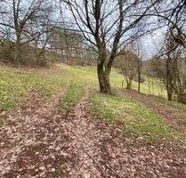 Landwirtschaftliche Grünfläche - 4.000,00&nbsp;EUR Kaltmiete, ca.&nbsp; 0,00&nbsp;m&sup2; in Bechhofen (PLZ: 66894)