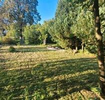 Verpachtung eines ruhigen Gartens in Oberaula