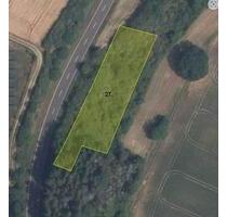 RESERVIERT 2.167 Grundstück Solar Waldfläche Brennholz - Waldböckelheim