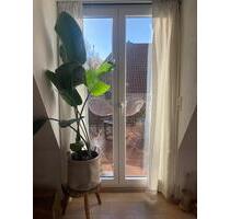 Helle ruhige Maisonette Wohnung 5ZKBB MauritzErpho - Münster Münster-Südost