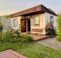 300 m² Kleingarten mit halb-unterkellerter Laube in Kamenz