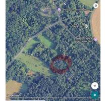 Freizeitgrundstück am Hetzles. Verwildert - Neunkirchen am Brand