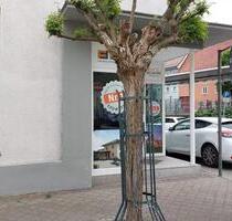Büro zu vermieten - 770,00 EUR Kaltmiete, in Tuttlingen (PLZ: 78532)