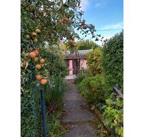 Kleingarten - 3.700,00 EUR Kaltmiete, ca.  0,00 m² in Dresden (PLZ: 01189) Cotta
