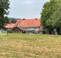 Rarität in Marburg: Familiengut ideal für Mehrgenerationenmodelle