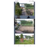 wunderschöner Pachtgarten abzugeben - Nordhausen