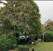 Zentrale, ruhige ETW mit Loggia und Stellplatz ohne Markler - Langenfeld (Rheinland)