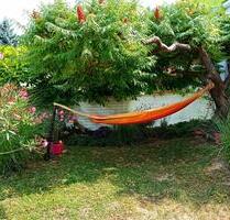 Urlaub am Balaton - 25,00 EUR Kaltmiete, in Göllheim (PLZ: 67307)