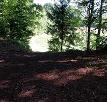 Wald Grundstück mit Burgstall - 7,00 EUR Kaltmiete, ca.  0,00 m² in Obertrubach (PLZ: 91286)