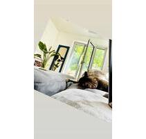 Wohnung zu Untermieten über Weihnachten neben Stemmerhof - München Sendling-Westpark