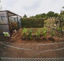 Freizeit Grundstück Kleingarten Garten zu verpachten - Berlin Treptow-Köpenick