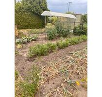 TOP KleingartenSchrebergarten Lützen bei Leipzig inkl. Laube