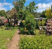 Schrebergarten, Heimgarten, Familiengarten, Kleingarten - Cottbus Brunschwig