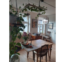 Grebenstein: Bezaubernde Etagenwohnung: 4 Zimmer, Küche, Bad - 20 Minuten bis Kassel