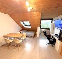 Helle 1-Zimmer-Wohnung mit Sauna. Einziehen, genießen! - Altensteig