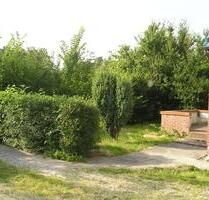 Ferienhaus an der Nordsee - 250.000,00 EUR Kaufpreis, in Klanxbüll (PLZ: 25924)