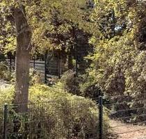 Tiny House Grundstück zu verpachten - München Ramersdorf-Perlach