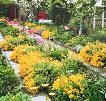 Kleingarten in Riesa in gute Hände abzugeben - Naunhof