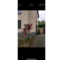 Erdgeschosswohnung 2 ZKB - 570,00 EUR Kaltmiete, ca.  65,00 m² in Völklingen (PLZ: 66333)