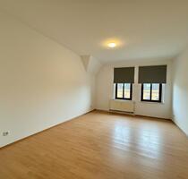 Lichtdurchflutete große 3-Raumwohnung mit Einbauküche und Garten - Chemnitz Ebersdorf