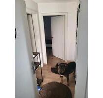 2 zi Wohnung - 650,00&nbsp;EUR Kaltmiete, ca.&nbsp; 45,00&nbsp;m&sup2; in Wolfsburg (PLZ: 38440)