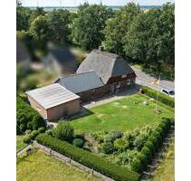 Haus Reetdach auf dem Land ohne Makler 3500 qm - Horst (Holstein)