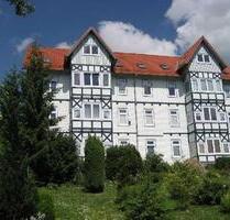 Gemütliche Wohnung in bester Lage! - Wernigerode