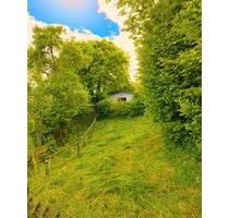 Häuschen in der Eifel - 500,00 EUR Kaltmiete, ca.  30,00 m² in Bitburg (PLZ: 54634)