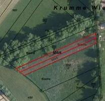 BrachlandAckerfläche in Altleiningen (HLO 122)