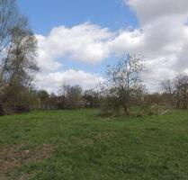 Schönes, sonniges, ruhiges Miet-Grundstück, nahe Potsdam!! - Berlin Steglitz-Zehlendorf