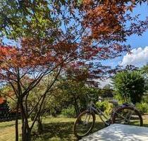 Pacht Garten - 700,00 EUR Kaltmiete, ca.  0,00 m² in Chemnitz (PLZ: 09119) Kapellenberg