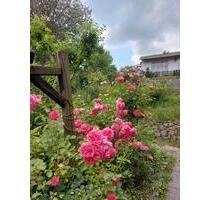 Einmaliger Garten mit Privatsphäre und Ausblick - Schwerin